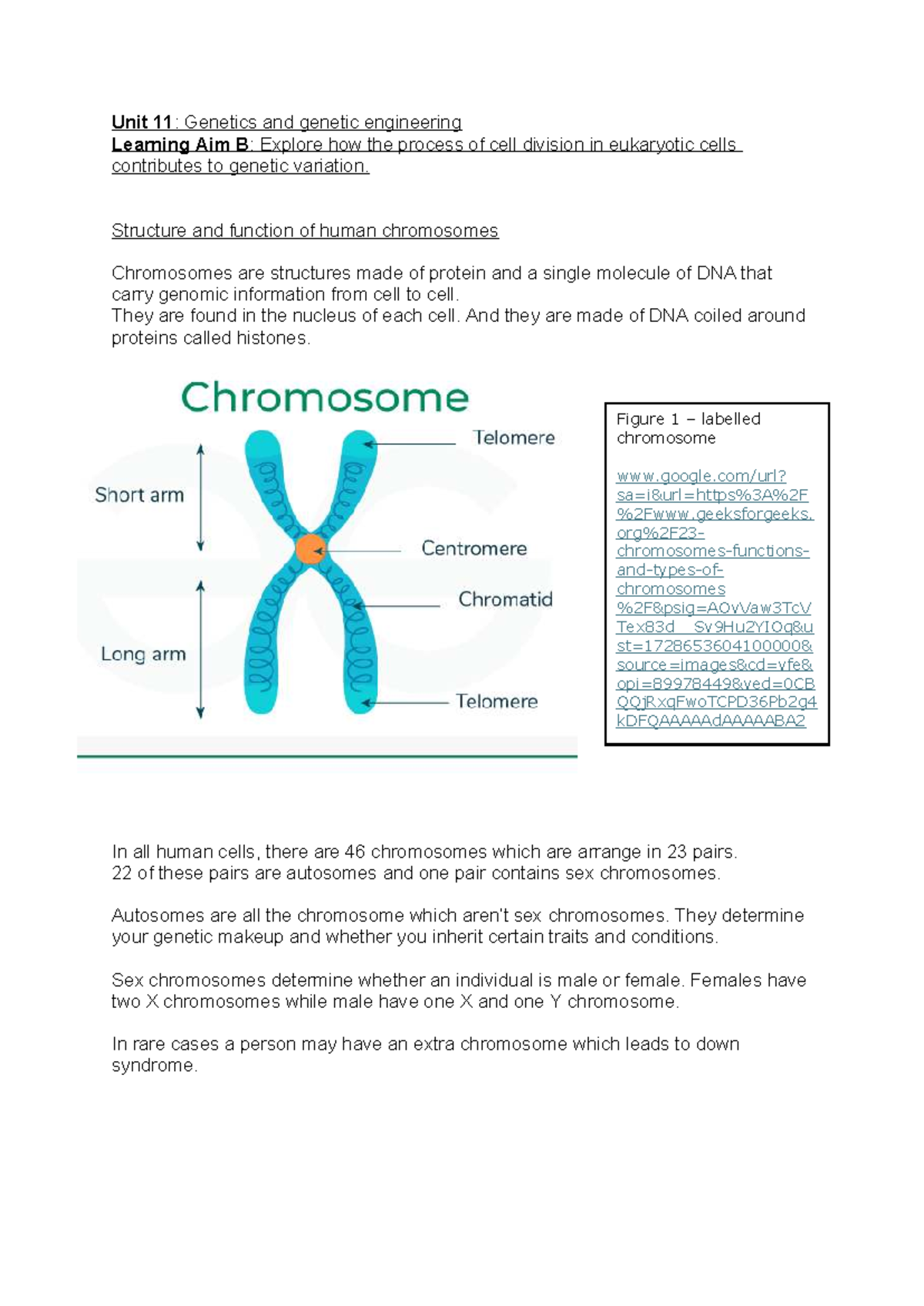 Unit 11: Genetics & Genetic Engineering - Cell Division & Variation ...