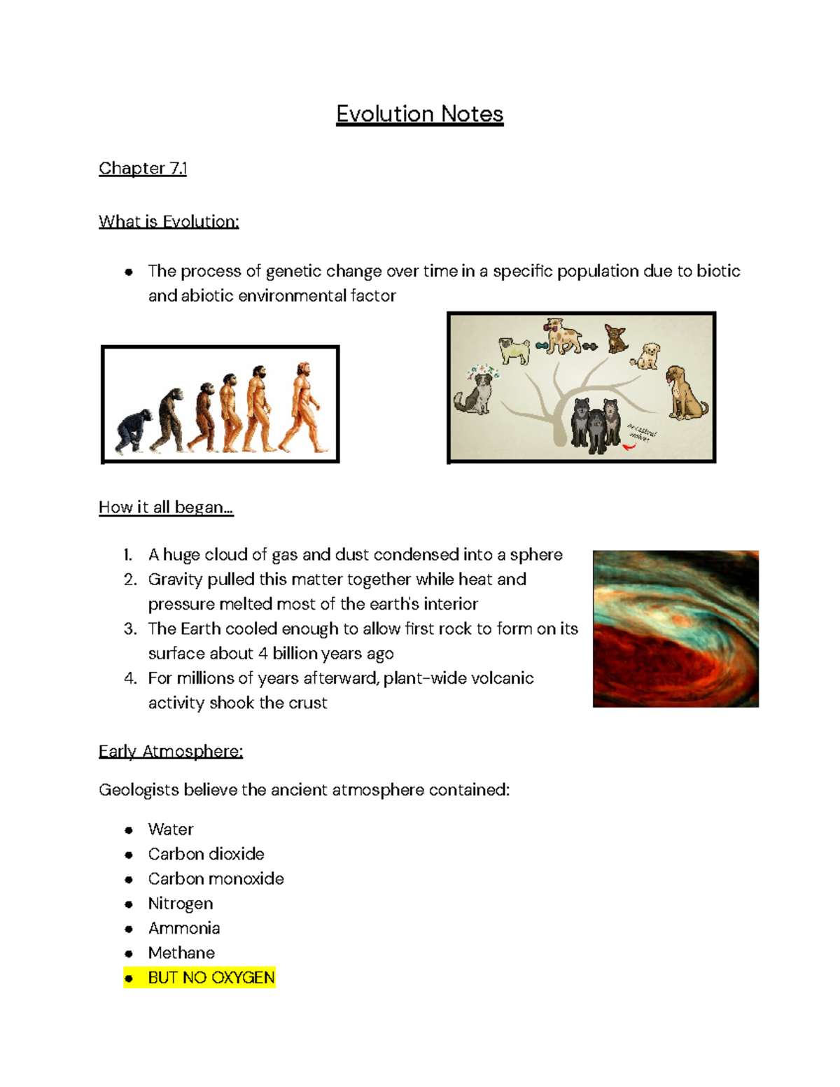 Evolution: Genetic Change, Adaptation, & Natural Selection Notes - Studocu