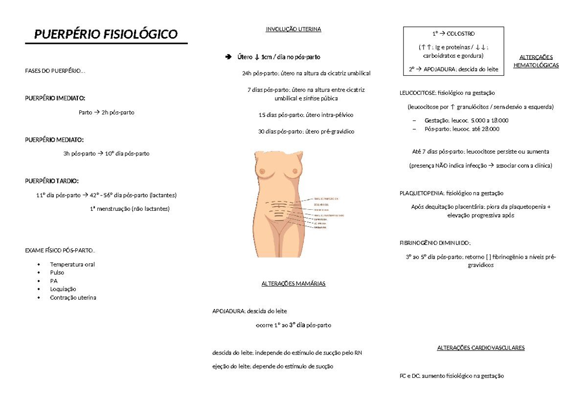 Puerpério Fisiológico: Fases e Alterações Pós-Parto - Studocu