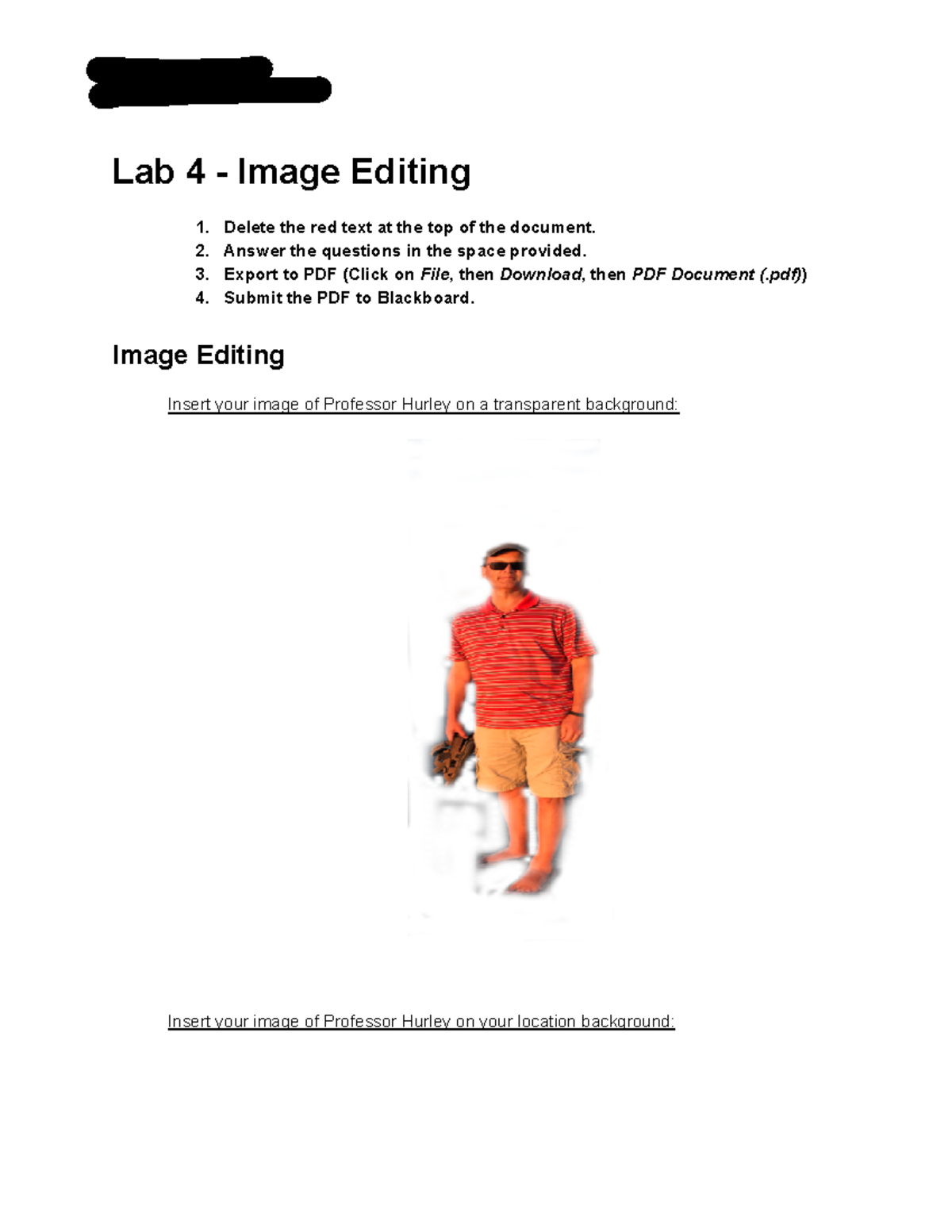 COIS 1010 Lab 4 - Comprehensive Guide to Image Editing Techniques - Studocu