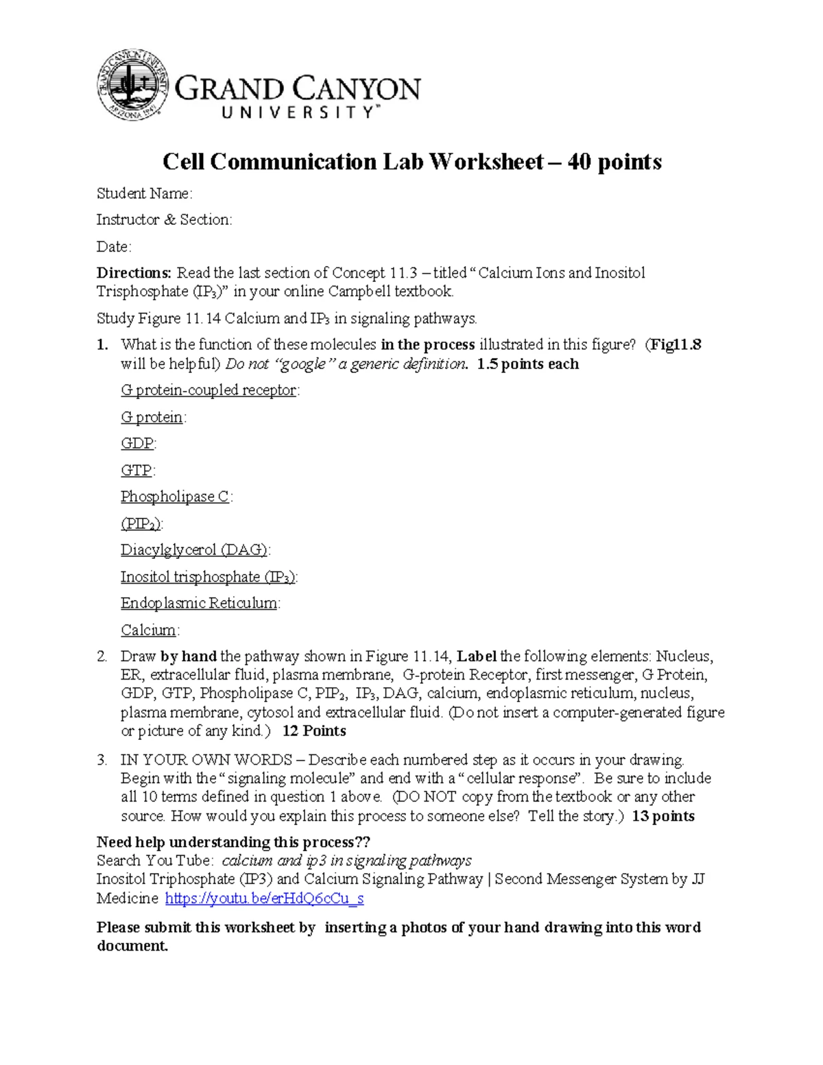 F23 Structure and Functions of Macromolecules Lab Worksheet - Studocu