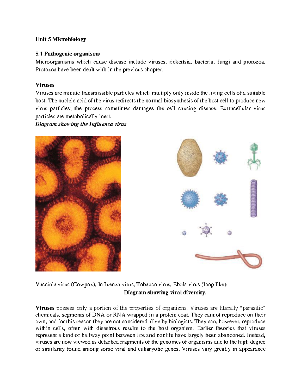 Unit 5 Microbiology - Detailed Notes on Pathogens and Their Properties ...