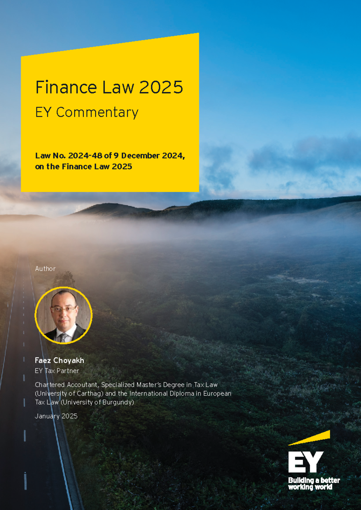 Commentaire EY sur la Loi de Finance 2025 - Analyse des Dispositions ...