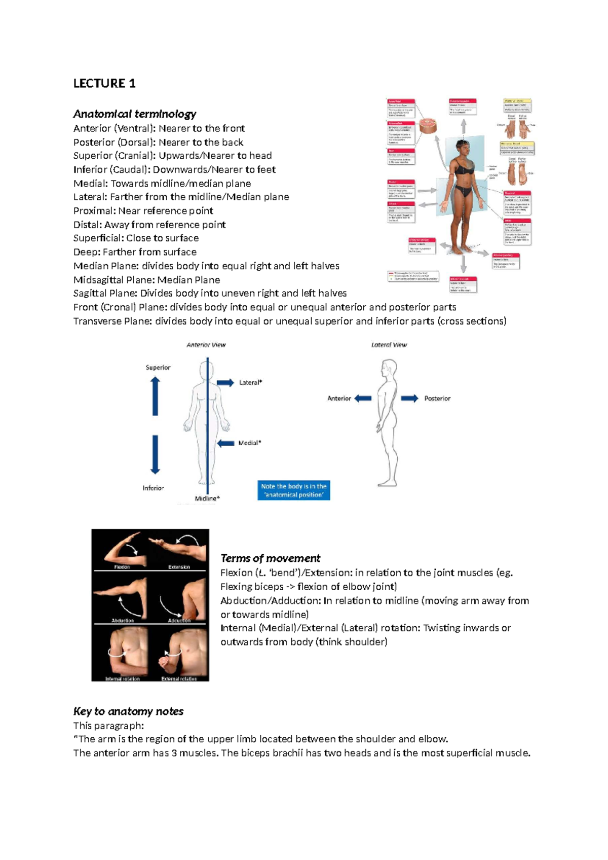 LECTURE 1: Anatomical Terminology and Embryology Overview - Studocu