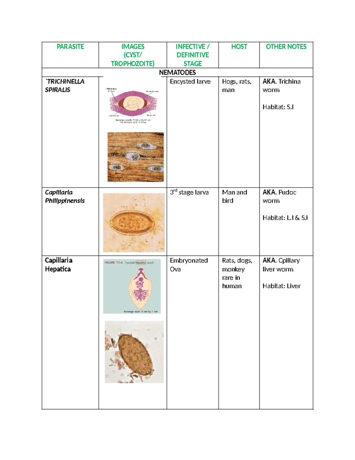 Parasitology Notes: Nematodes, Trematodes, and Cestodes Overview - Studocu