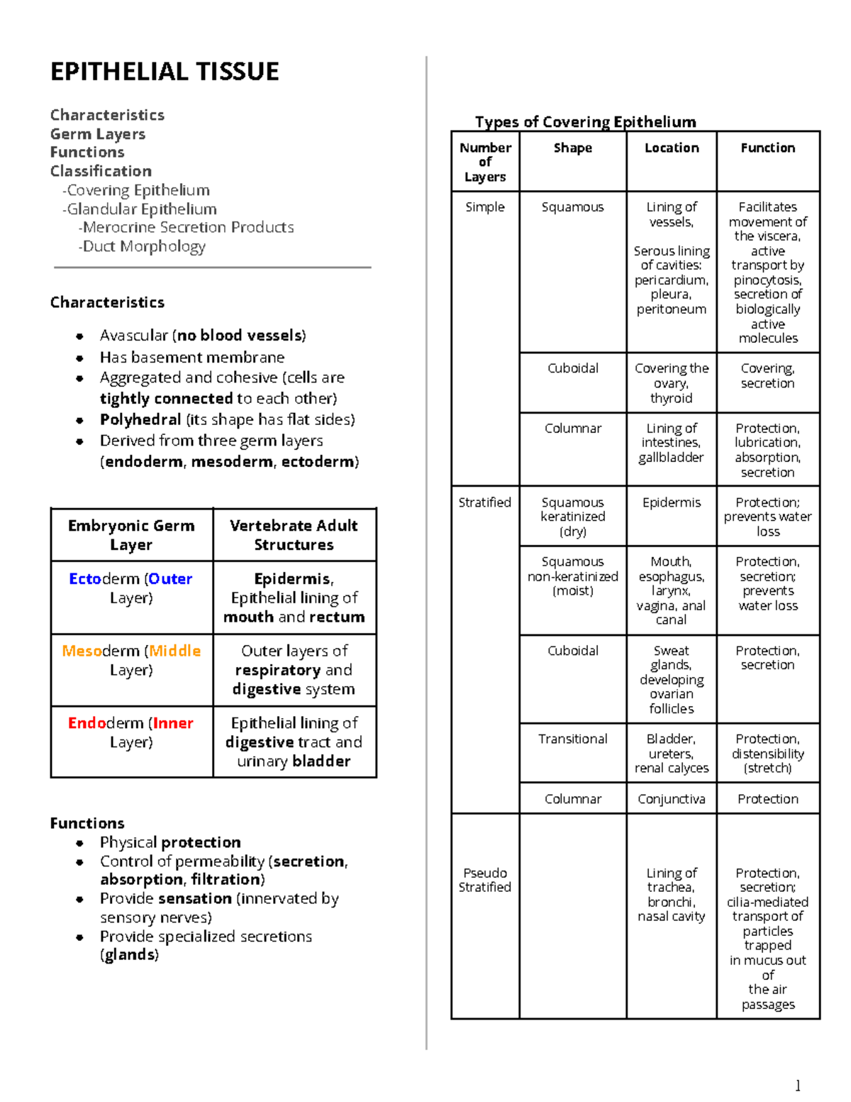 Epithelium- Histo - notes - EPITHELIAL TISSUE Characteristics Germ ...