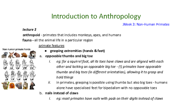 Lecture 3 - ANTA01: Understanding Primate Evolution and Behavior - Studocu