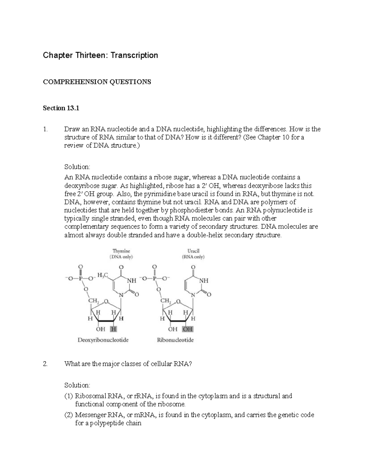 Pierce Genetics 7e Solutions Manual: Chapter 13 - Transcription Summary ...