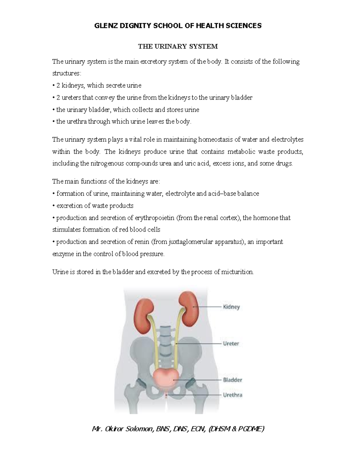GLENZ DIGNITY SCHOOL OF HEALTH SCIENCES URINARY SYSTEM NOTES - Studocu