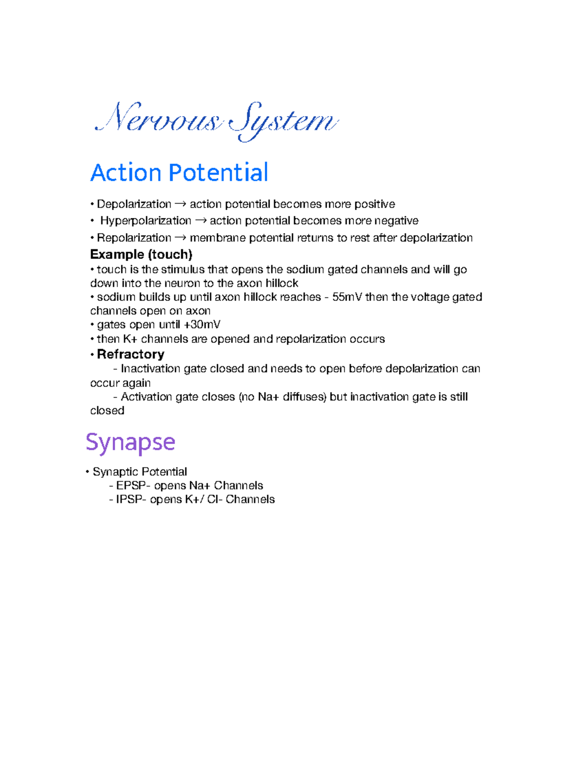 Nervous System part 2 (In Class) - Action Potential Depolarization → ...