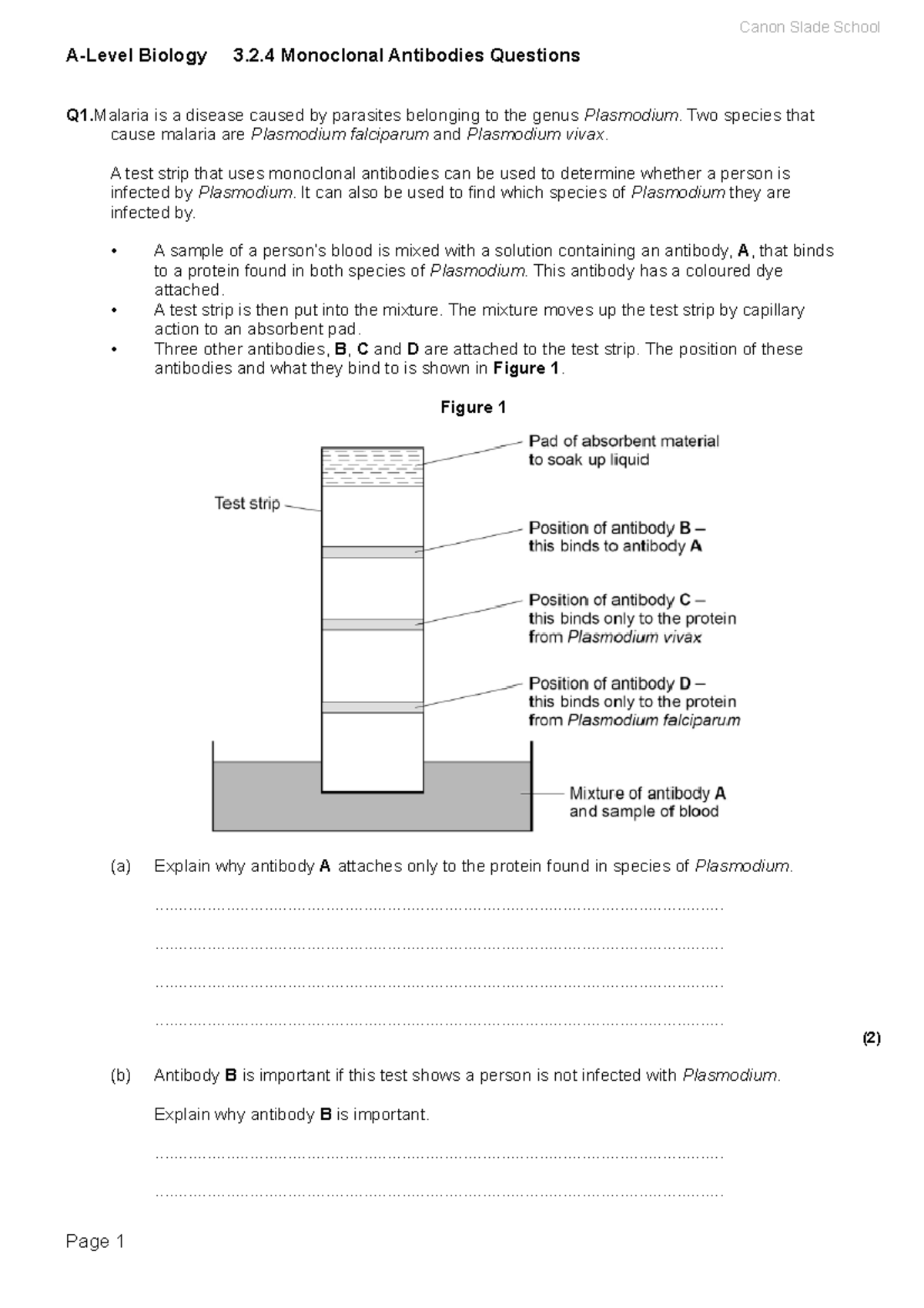 A-Level Biology 3.2.4 Monoclonal Antibodies Practice Questions - Studocu