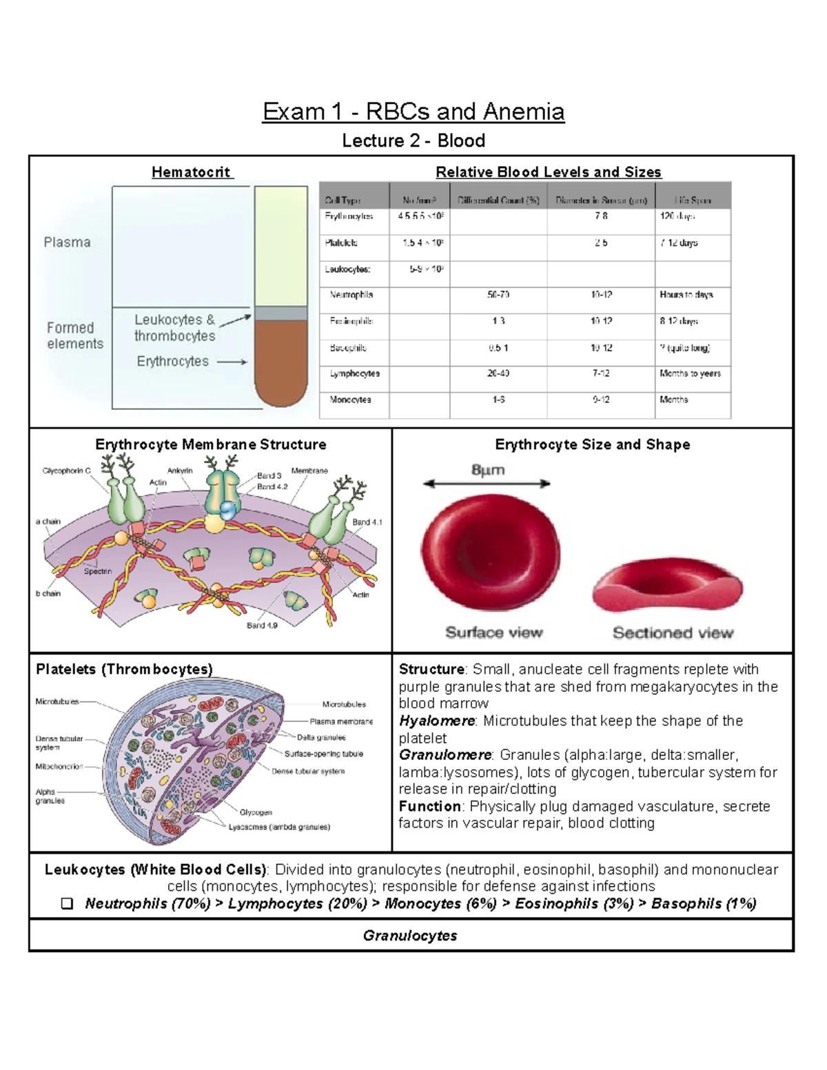 A- Hematology (Anemia) Hematolgy 2 Types of Anemia - HEMATOLOGY Dr. I ...