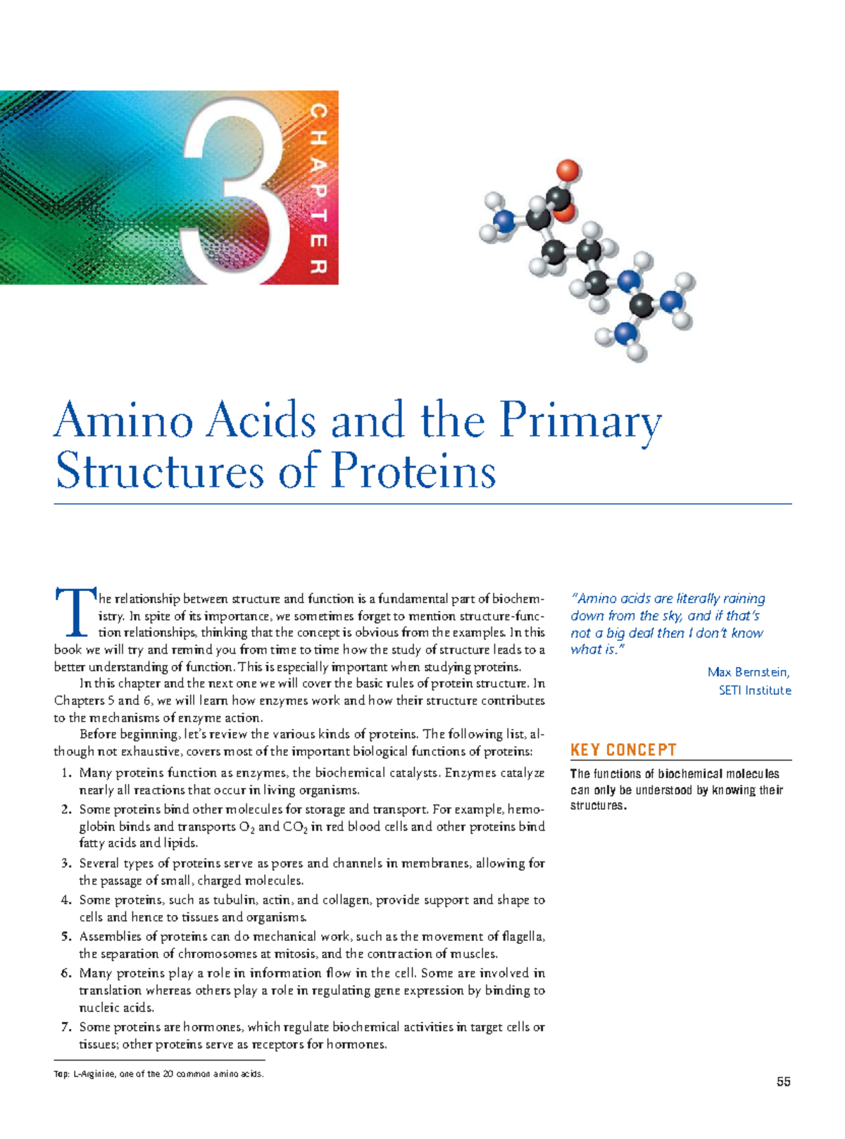 Amino Acids and Protein Structures: Key Concepts in Biochemistry - Studocu