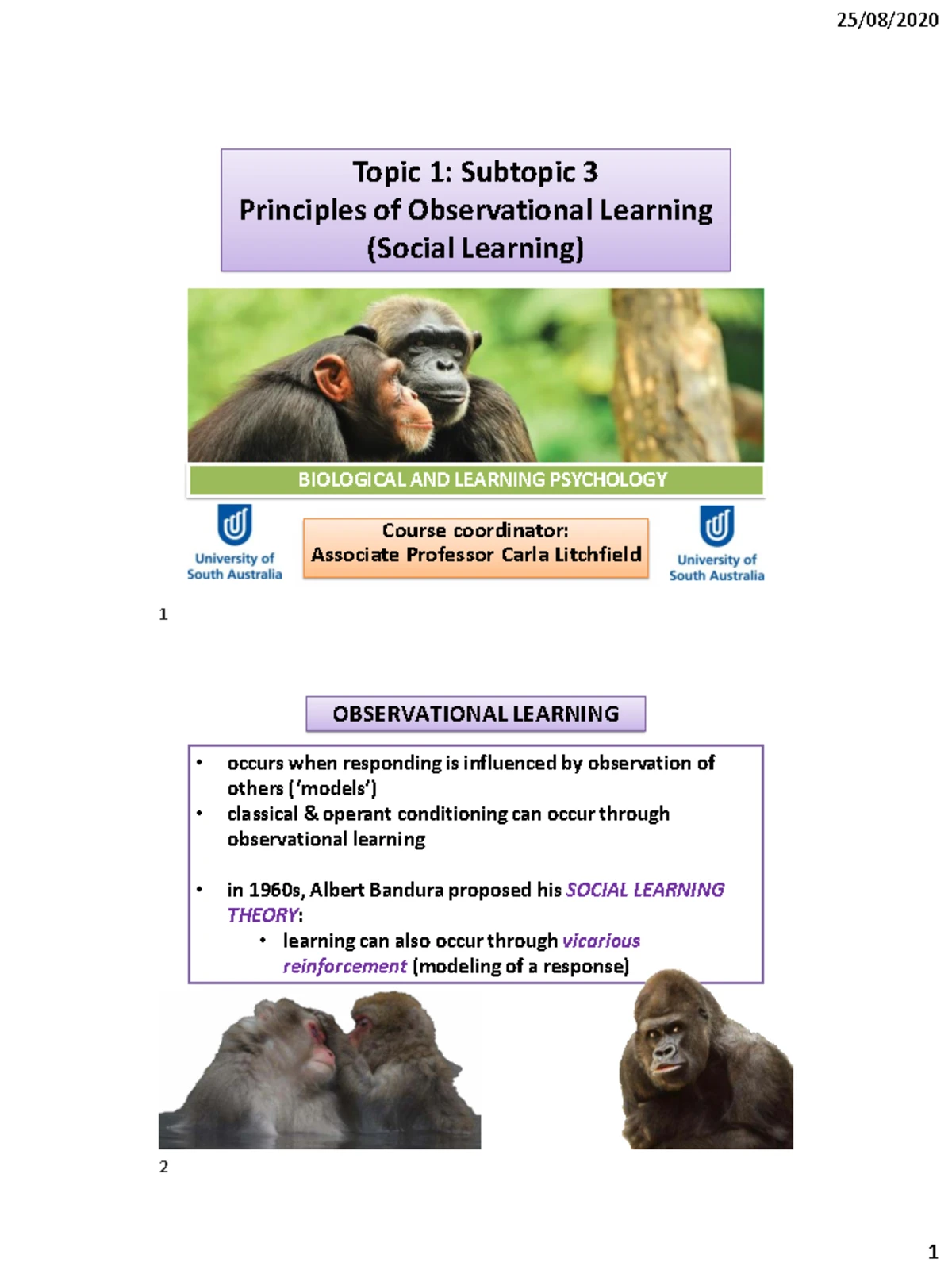 Biological & Learning Psychology: Intellect in Primates & Behavior ...