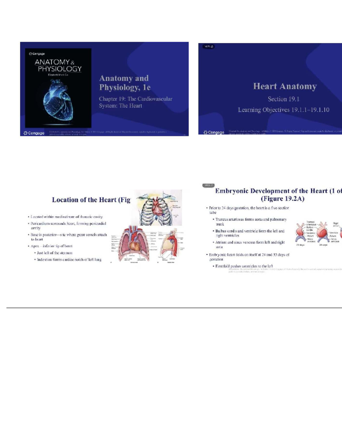 Anatomy and Physiology 1e: Heart Anatomy and Cardiovascular System ...