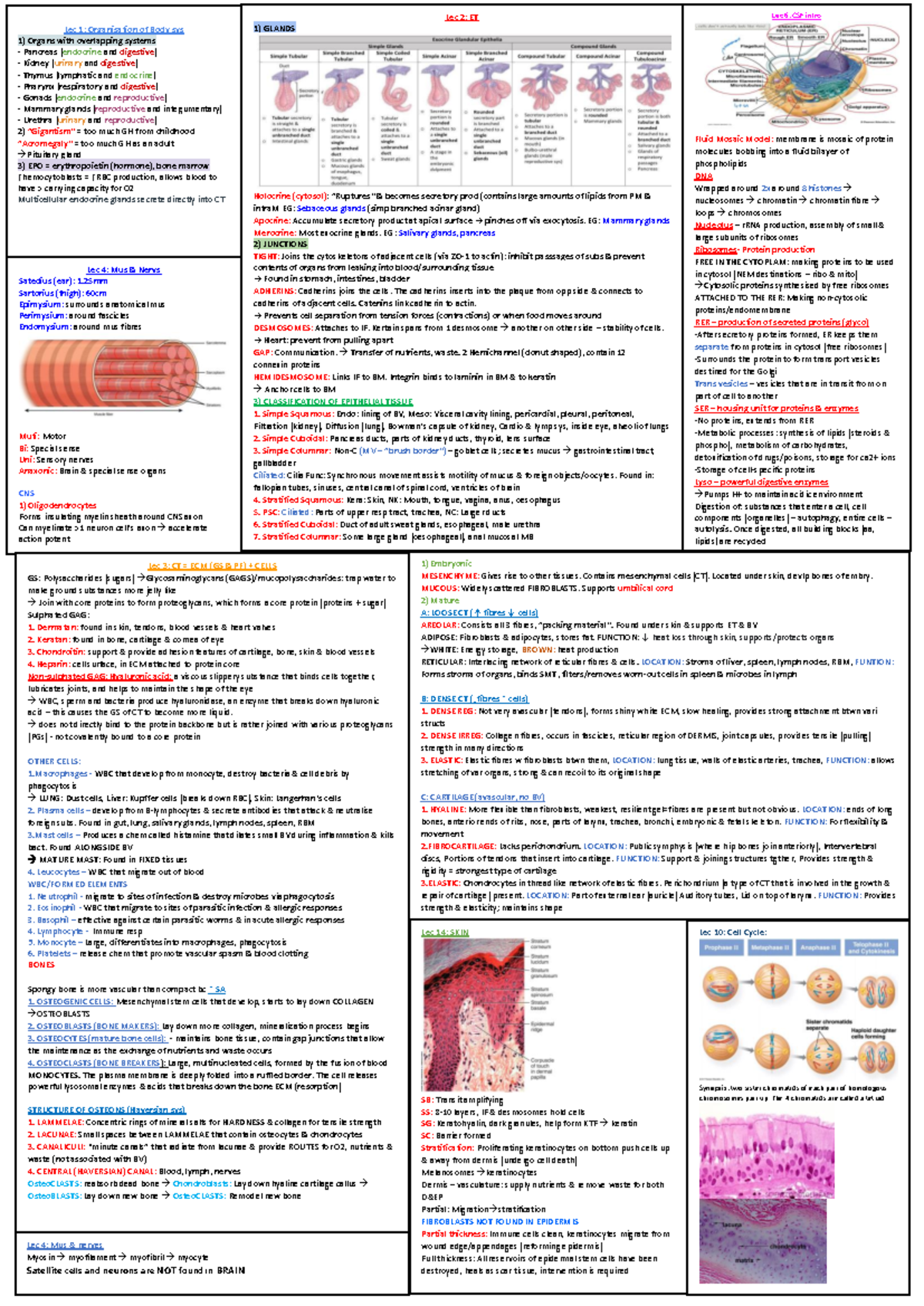 Biosci 107 Cheat Sheet 2021 - Mid Semester Test Study Notes - Studocu