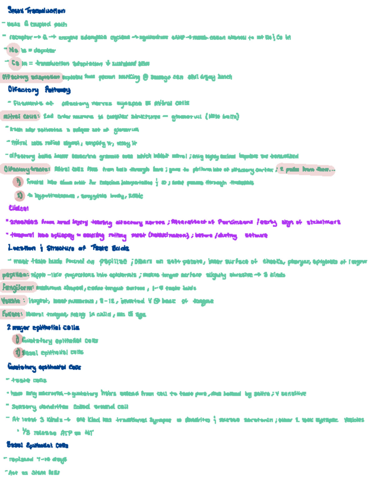 G101: Olfactory and Gustatory Transduction Mechanisms - Textbook Notes ...