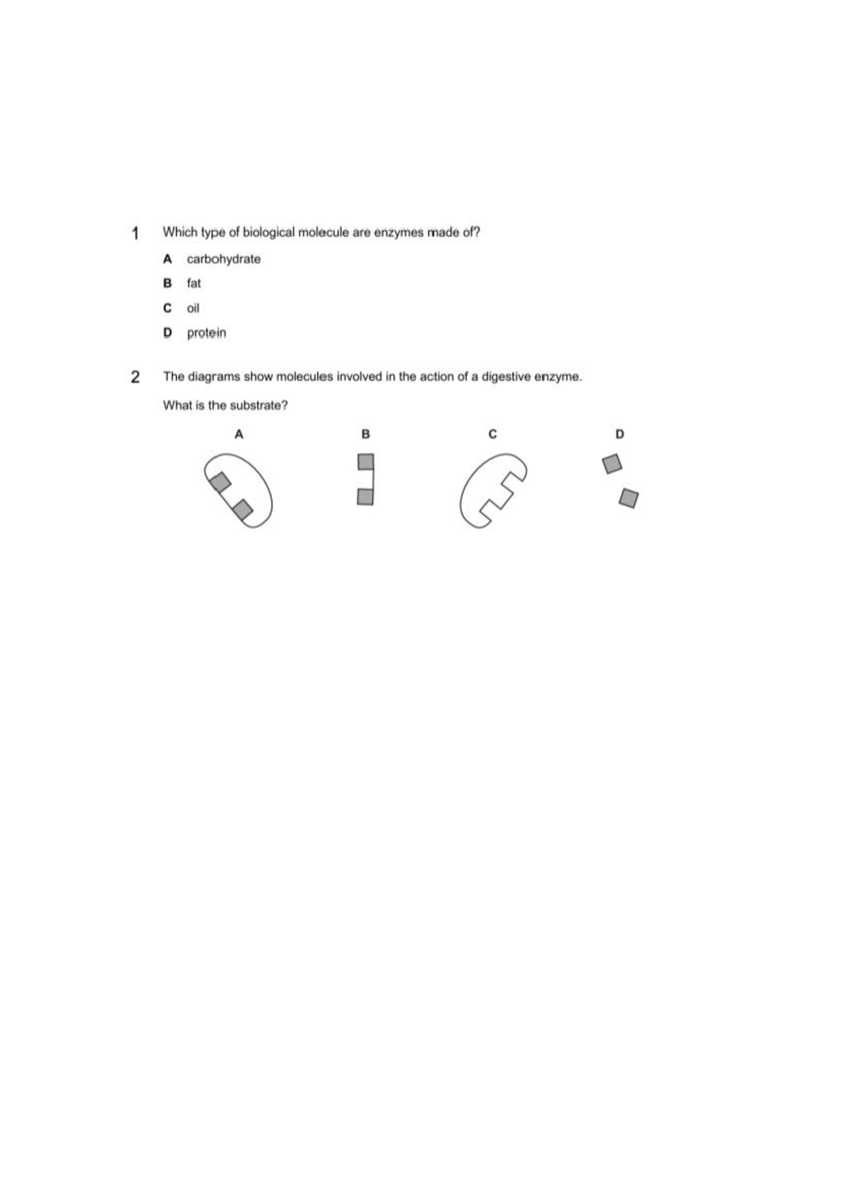 BIO TEST FORM 4: Enzymes and Digestive System Practice Questions - Studocu