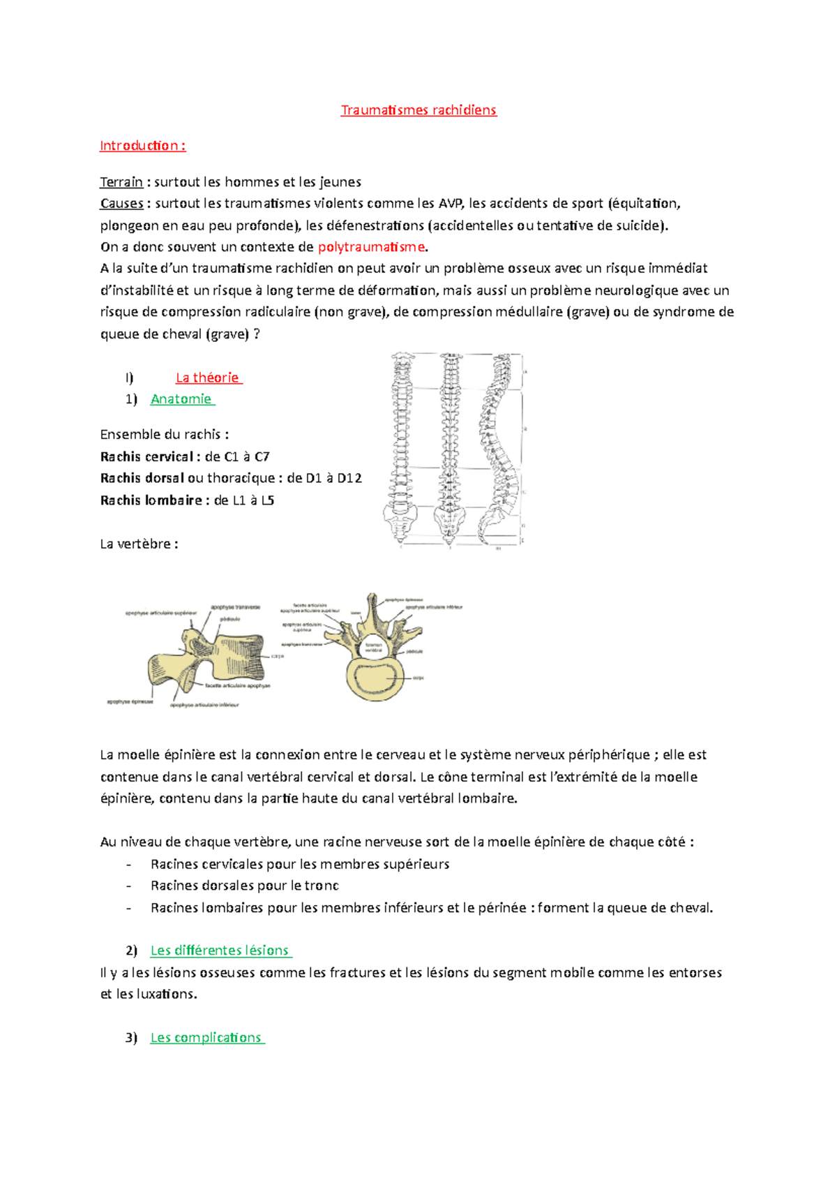 UE 2.4 Traumatismes Rachidiens : Théories, Complications et Prise en ...