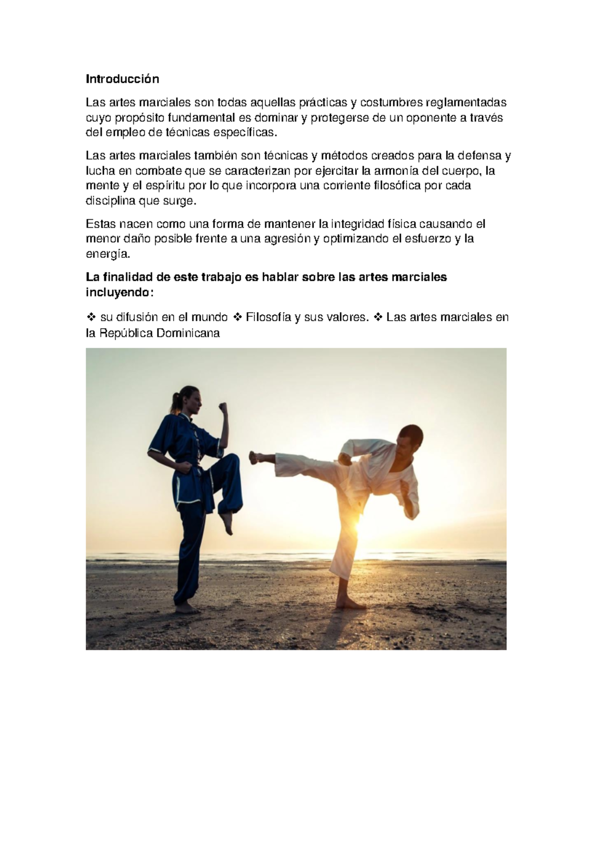 Tarea 2 Las artes marciales en el mundo, su filosofía y valores. Las ...