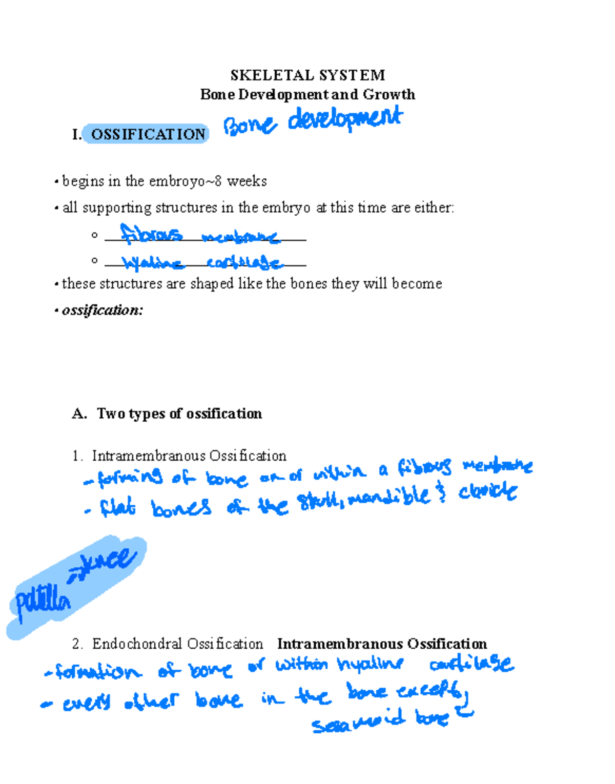 Skeletal+2+Bone+Development+Su22 - SKELETAL SYSTEM Bone Development and ...