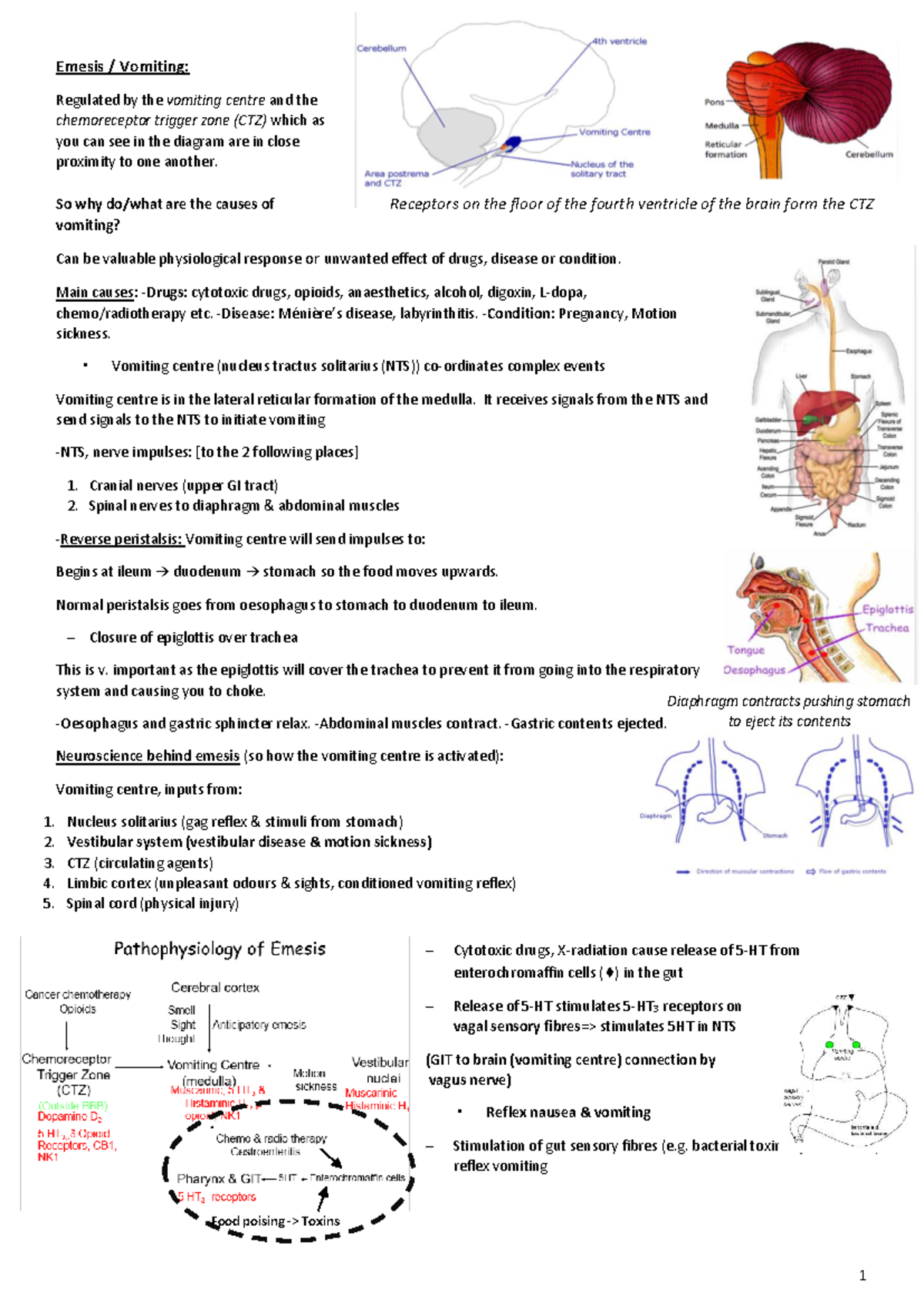 Emesis and Headache: Understanding Mechanisms and Causes - Bxbdb - Studocu
