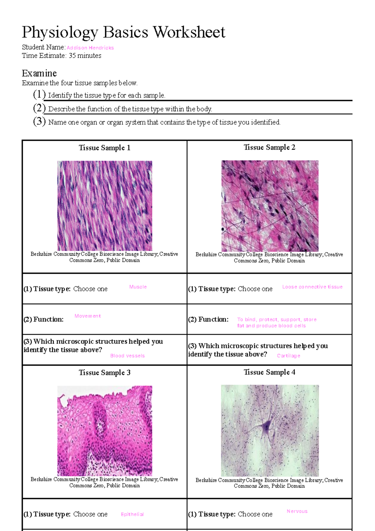 Physiology basics worksheet 3 - Physiology Basics Worksheet Student ...