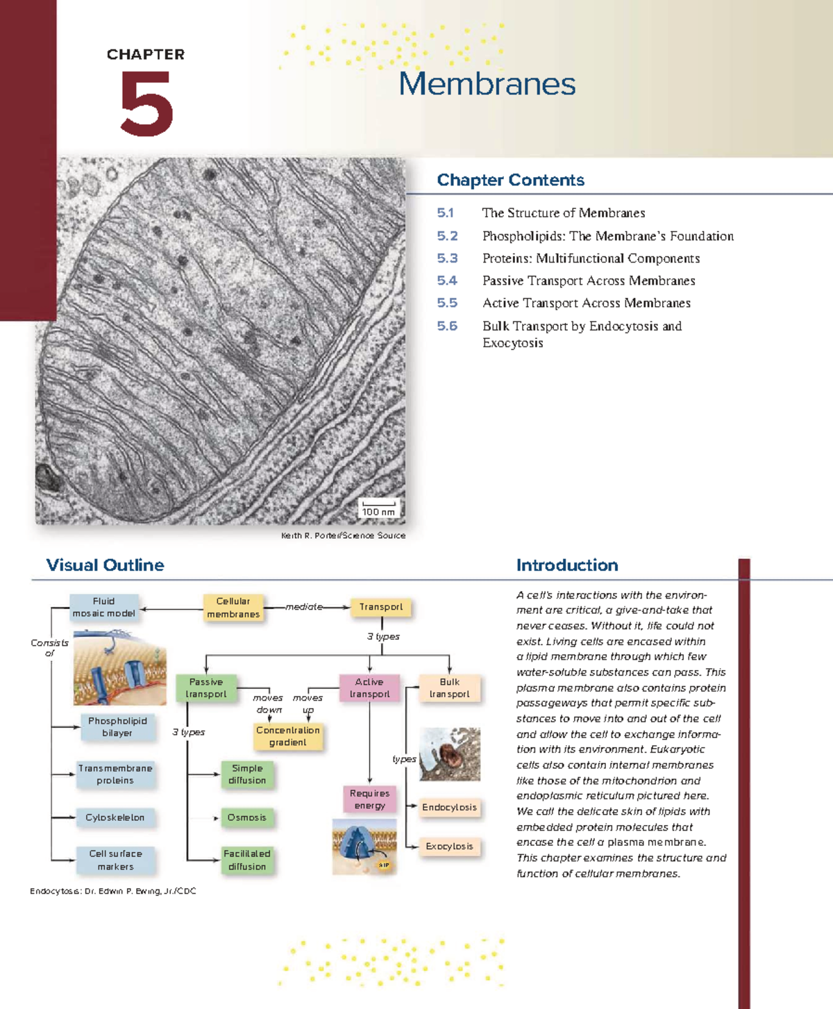 Membranes CH 5: Structure, Function & Transport Mechanisms Overview ...