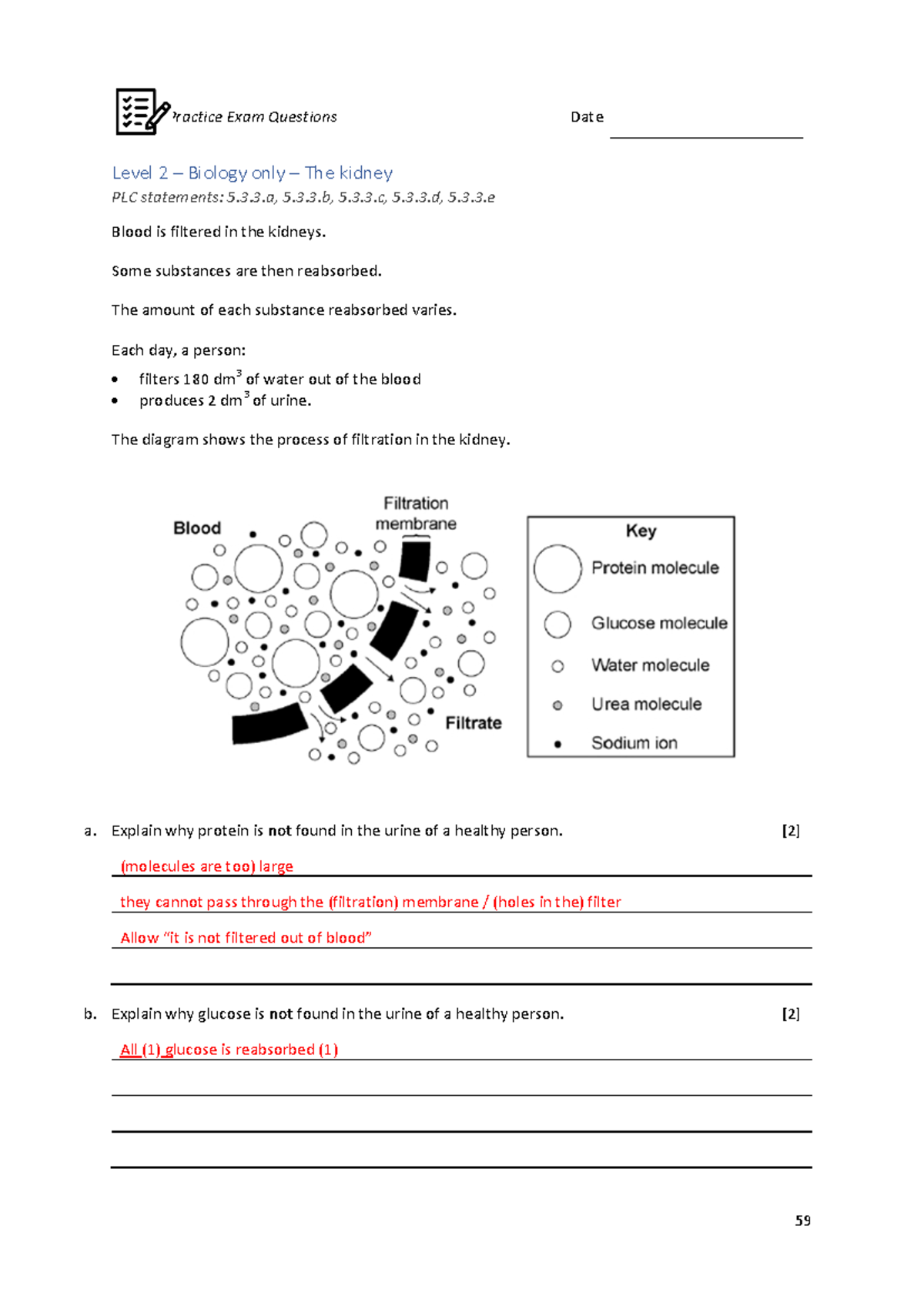 Explain Why Glucose Is Not Found In The Urine Of A Healthy Person