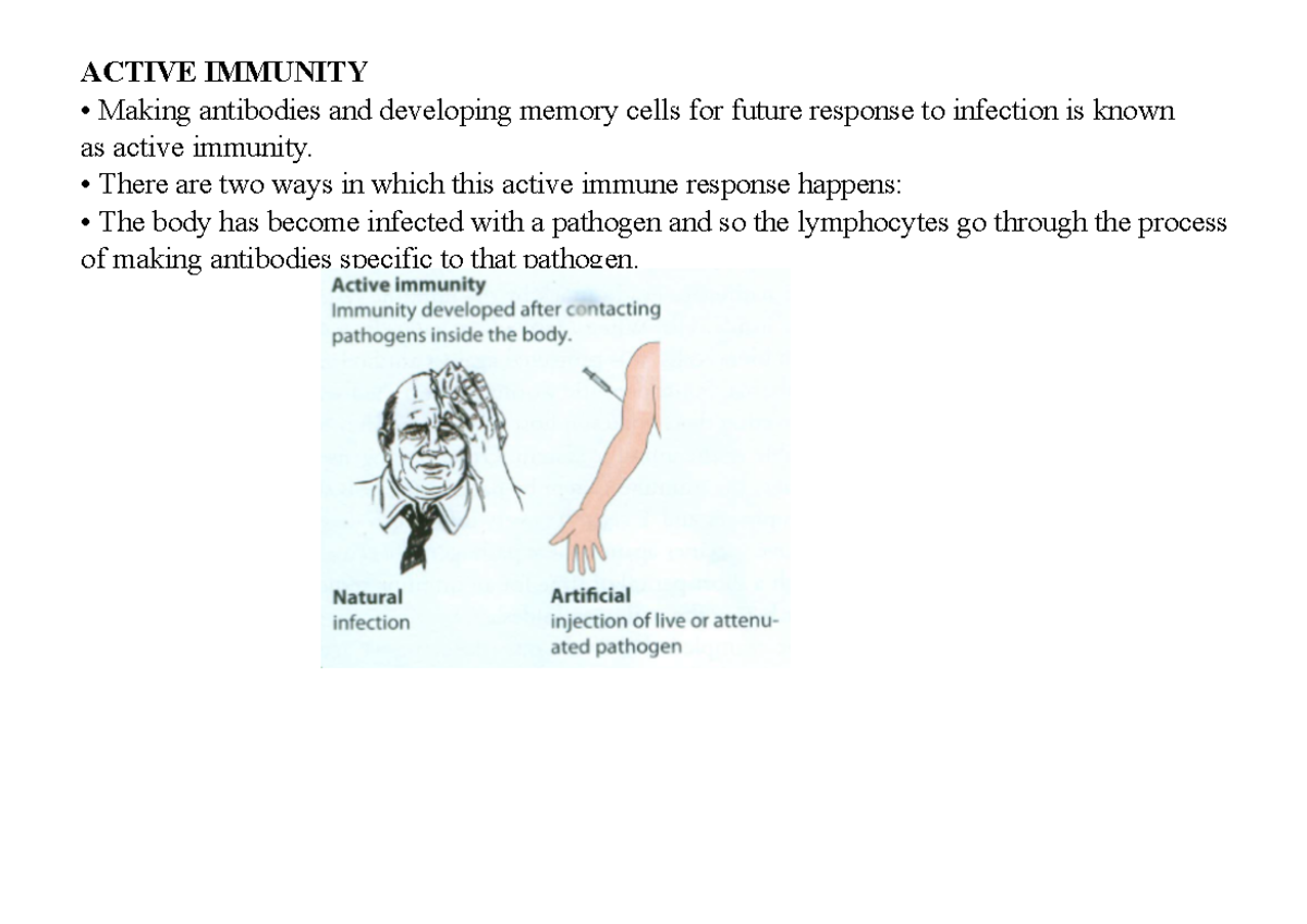 Active AND Passive Immunity-1 - ACTIVE IMMUNITY • Making antibodies and ...