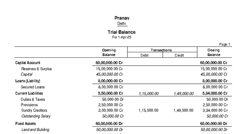 Trial Balance Overview for Page 1 - Pranav Delhi - Studocu