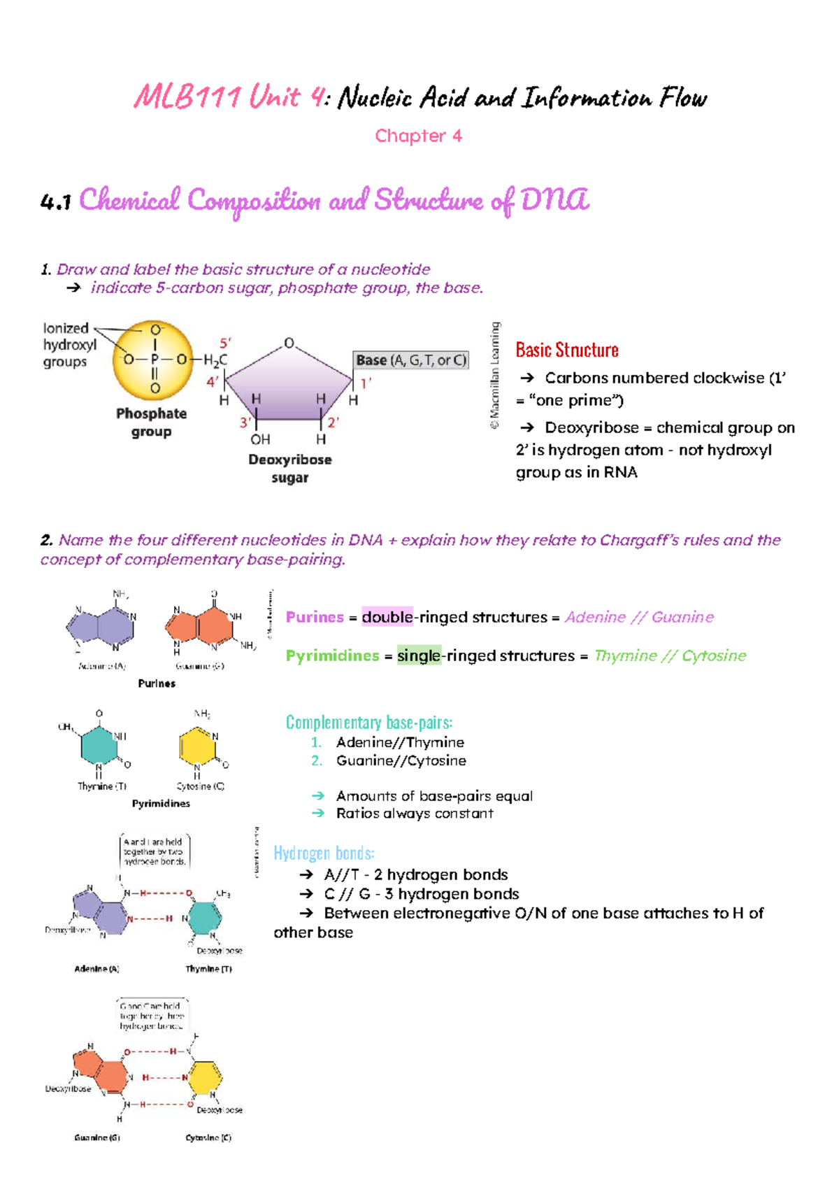 MLB111 Unit 4: Nucleic Acids & Information Flow Overview - Studocu
