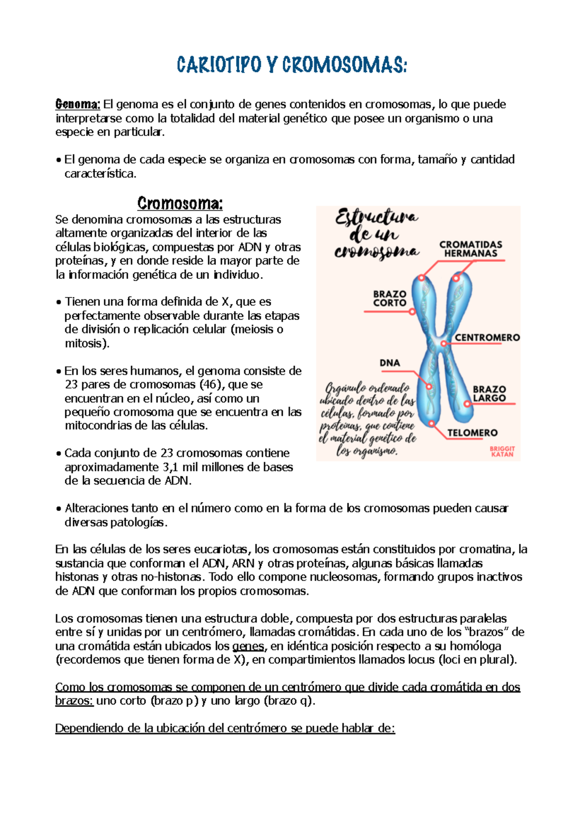 Morfología y fisiología de la célula vegetal - PortalFruticola.com, image size:1200x1696