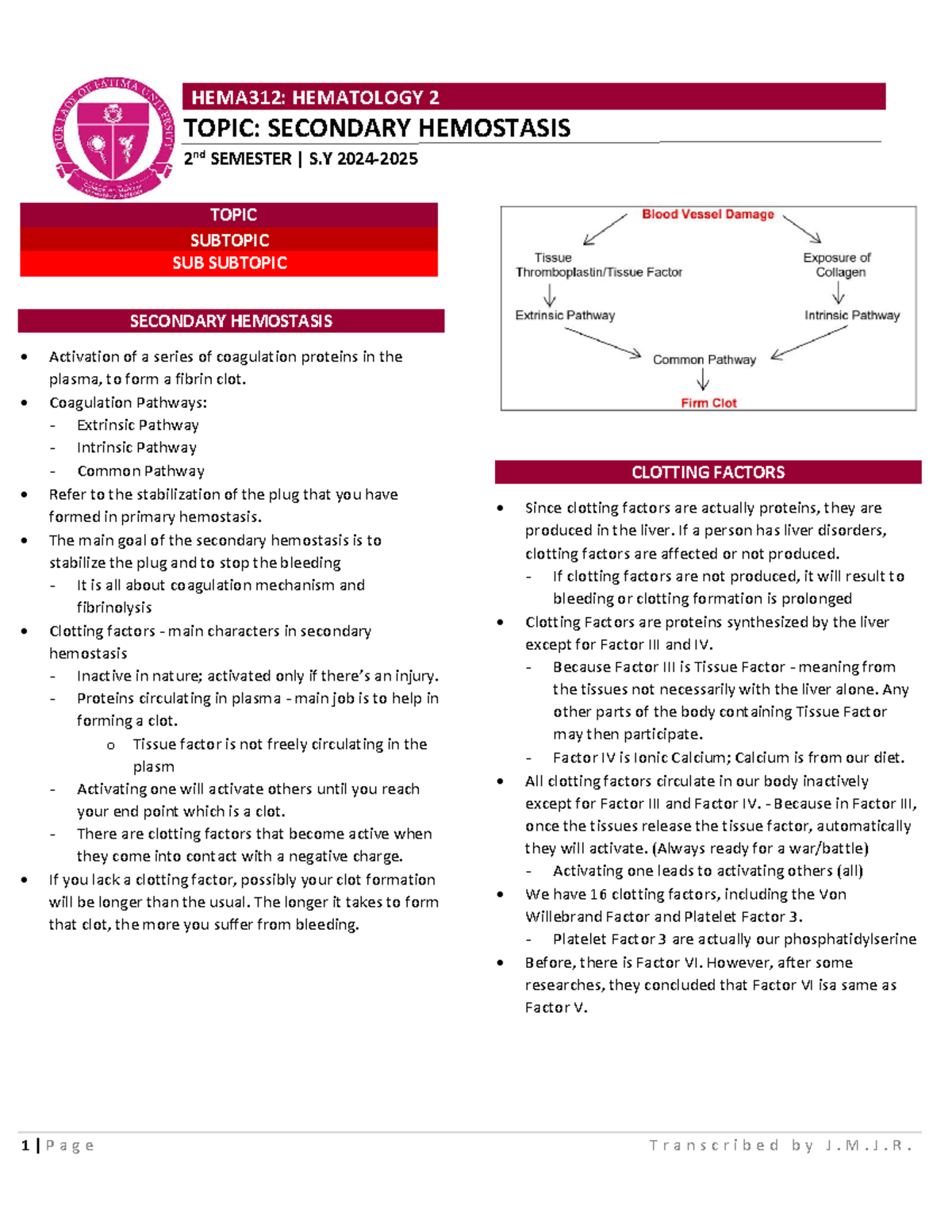 HEMA312: Secondary Hemostasis Overview and Coagulation Pathways - Studocu