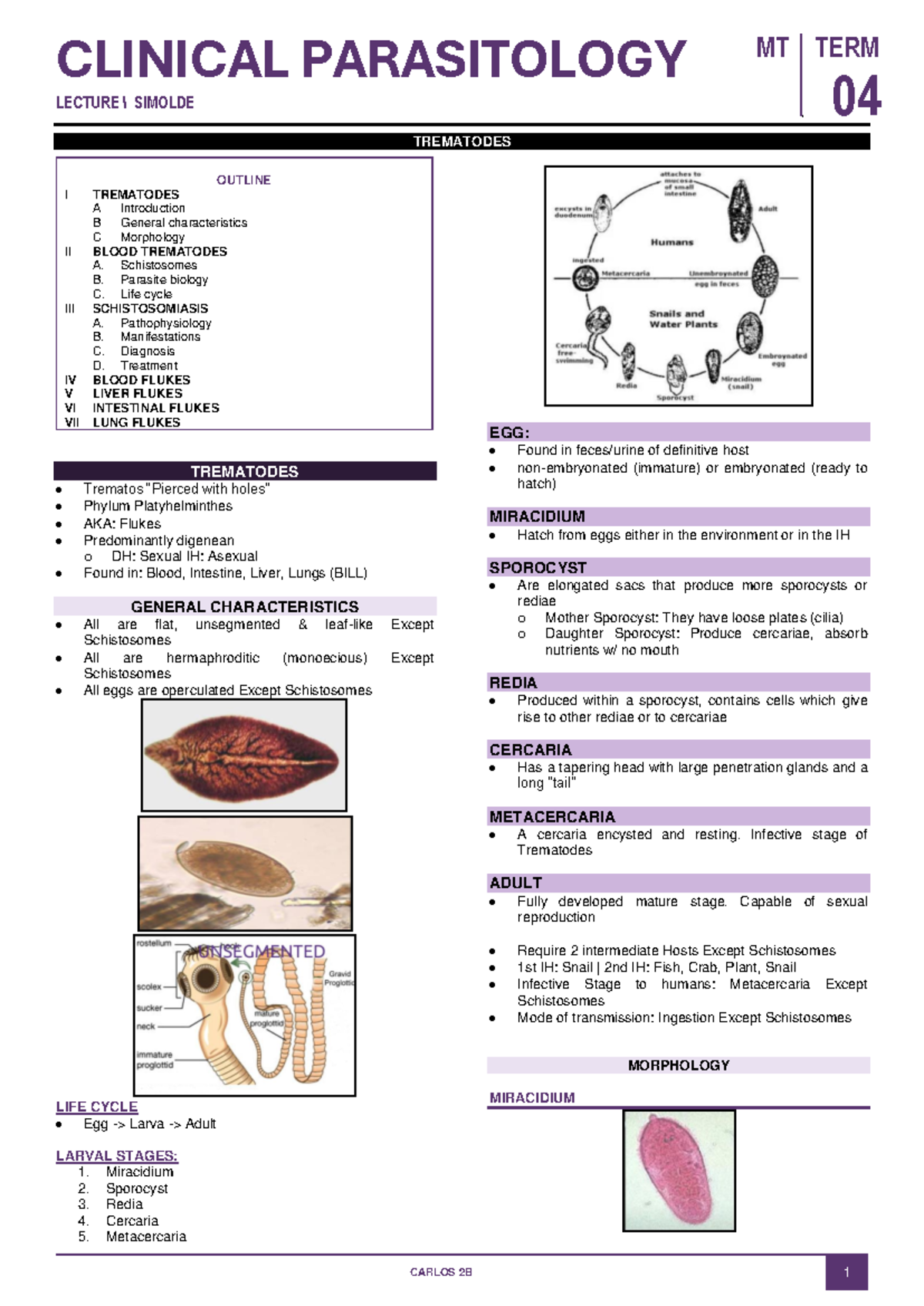 Lecture Notes on Trematodes (Clinical Parasitology - MT 04) - Studocu
