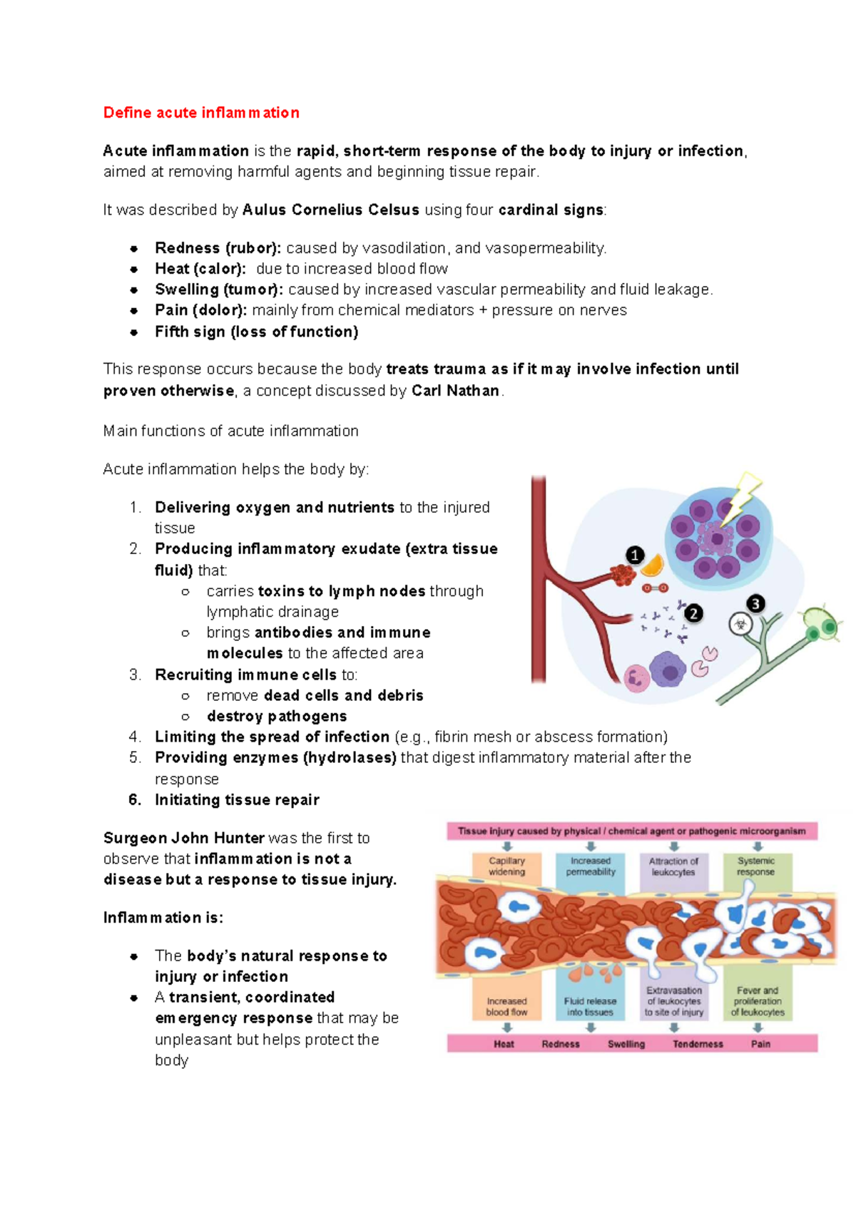 Medsci 203 - Lecture 6: Understanding Acute Inflammation - Studocu