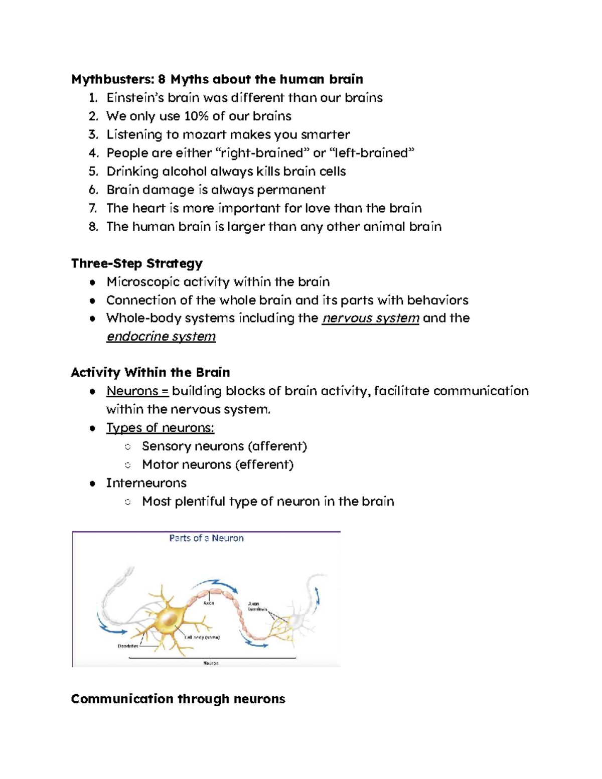 Psychology 101: Chapter 2 - Myths and Functions of the Human Brain ...