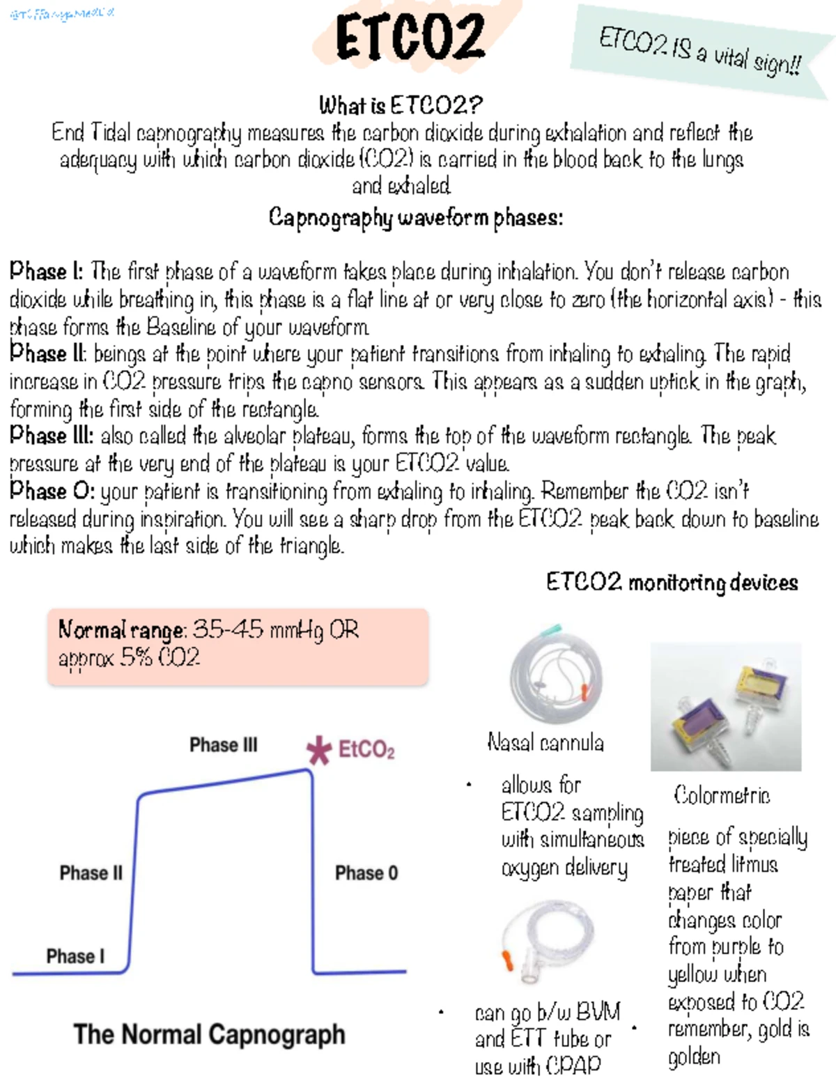 Advanced Airway Management: Anatomy & Physiology Overview - Studocu