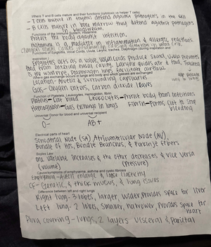 Final Exam Review Notes for Course Code XYZ123 - study the diaphragm ...