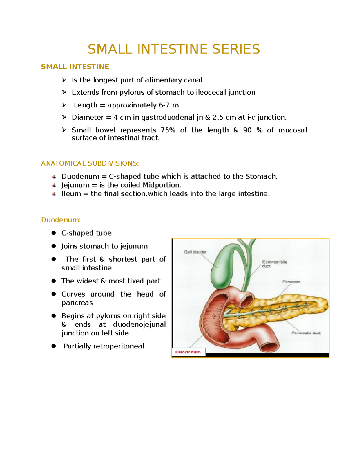 Small Intestine Series: Anatomy, Procedures & Patient Prep Guide - Studocu