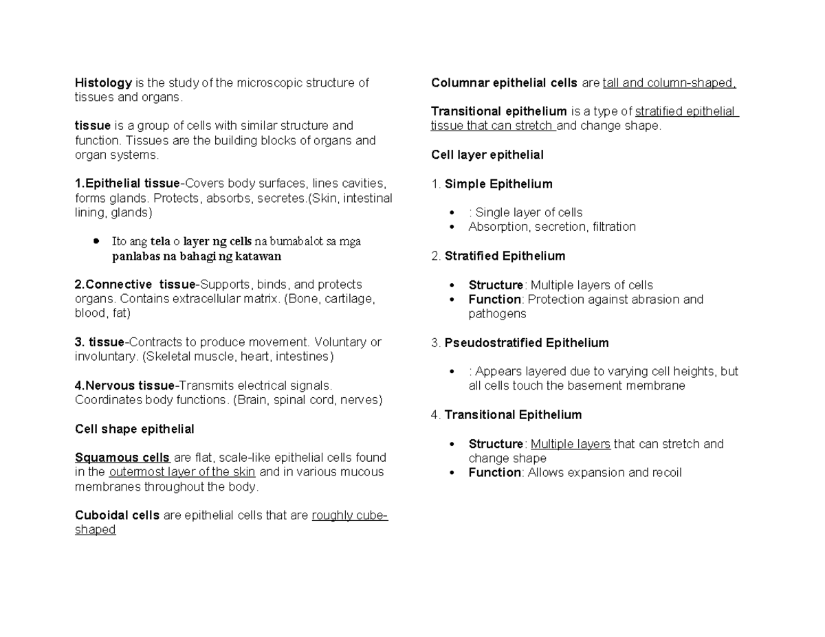 Anatomy Part 3: Advanced Histology Study Notes - Studocu