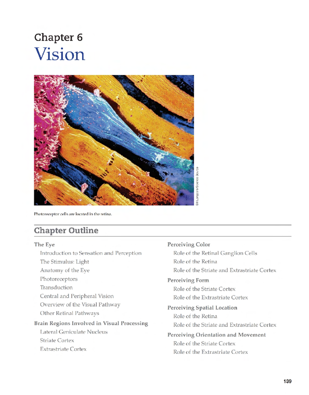 Visual Processing in the Brain: Structure & Functions (LO 6.10-6.16 ...