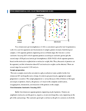 Solved Words On Secondary And Tertiary Structure Of Rna