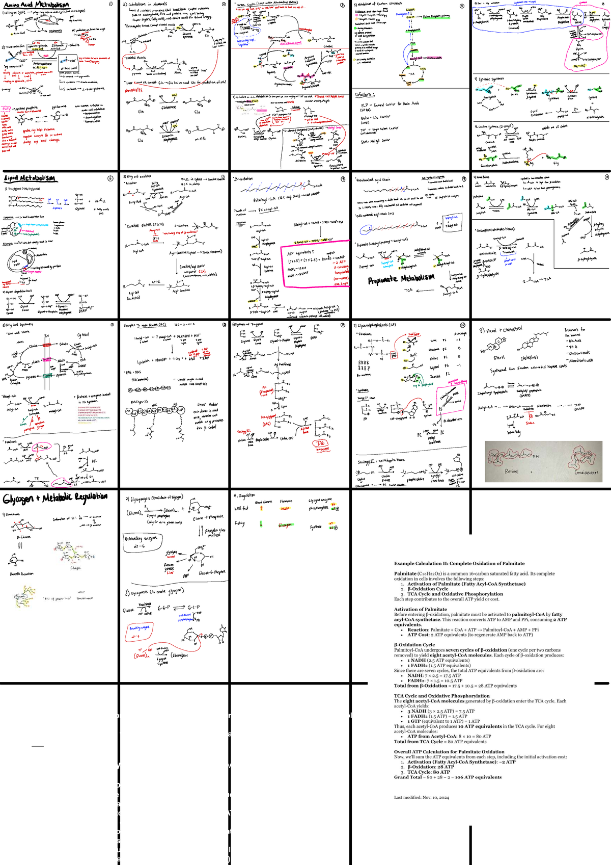 Bio Chem Final Study - Here’s a focused “memorize list” built directly ...