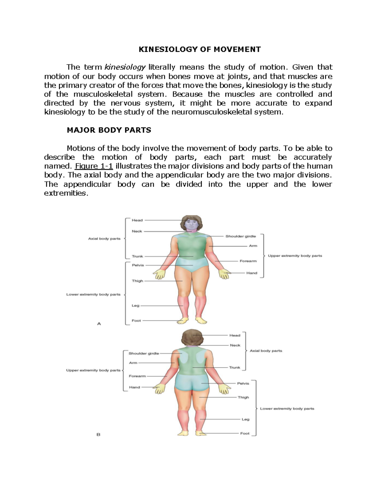 Axial Movement Of The Body