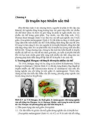 [Solved] Trnh by cc tnh cht c bn ca lp in kp nh ngha dzeta in th v ng ...
