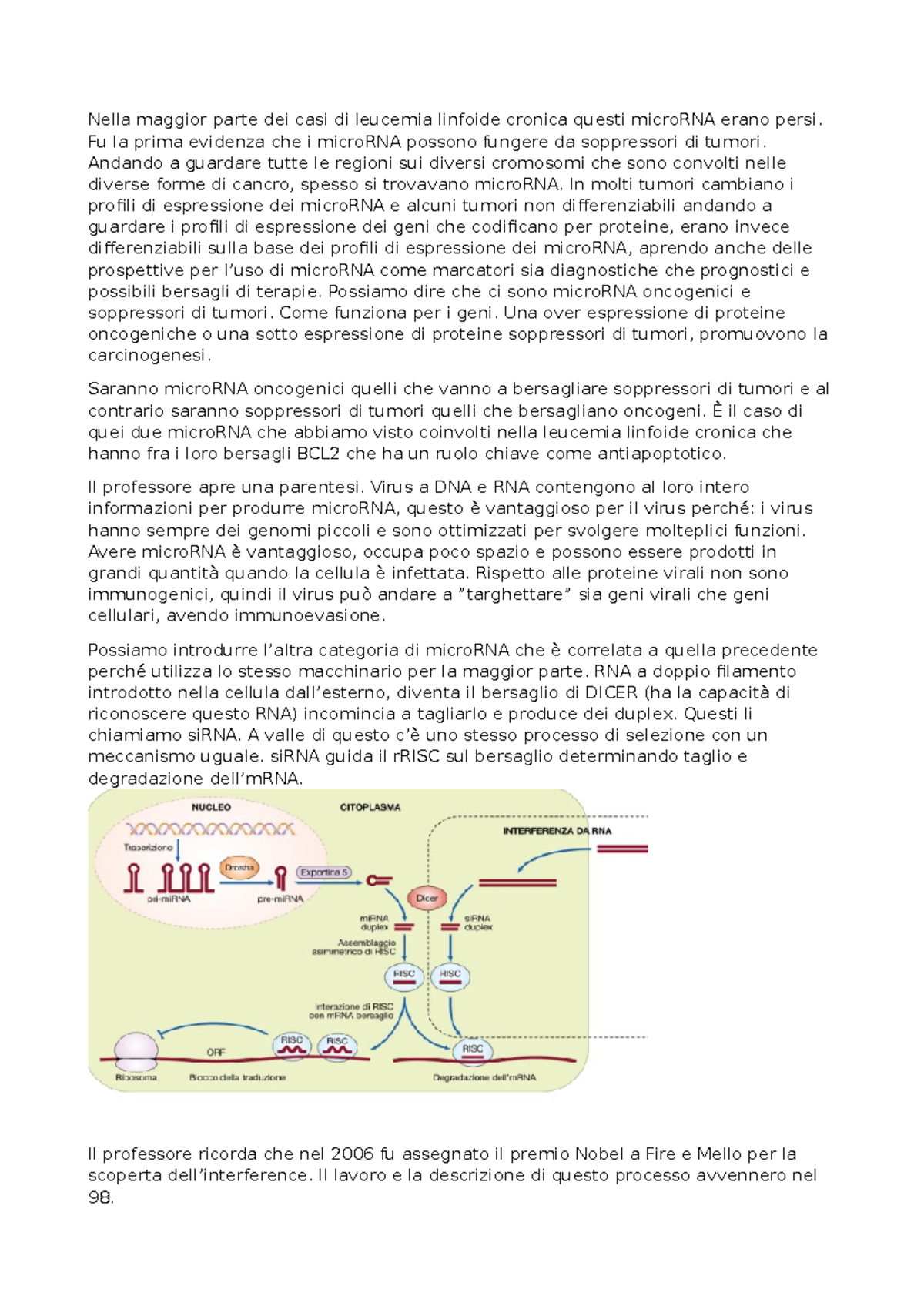 feci liquide e acide Colon irritabile e feci: come interpretare le caratteristiche main image 1
