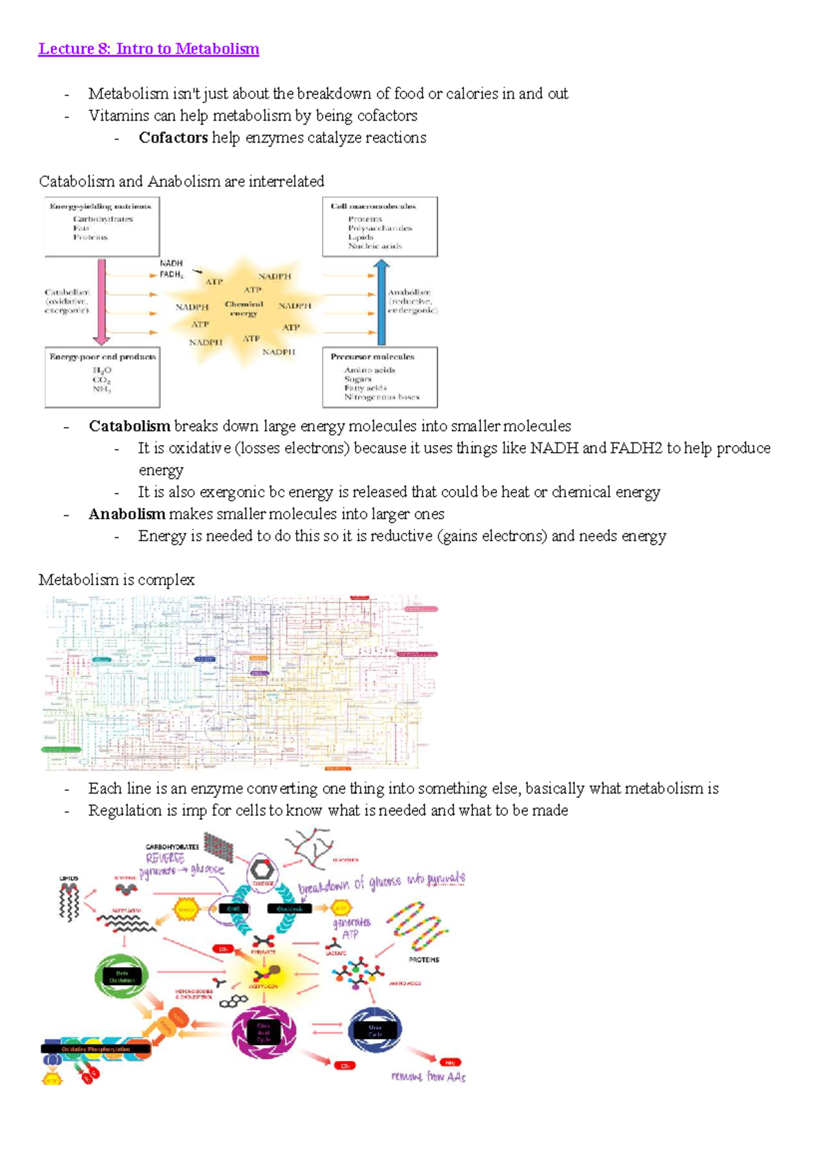 Lecture 8: Intro to Metabolism - Key Concepts and Enzyme Kinetics - Studocu