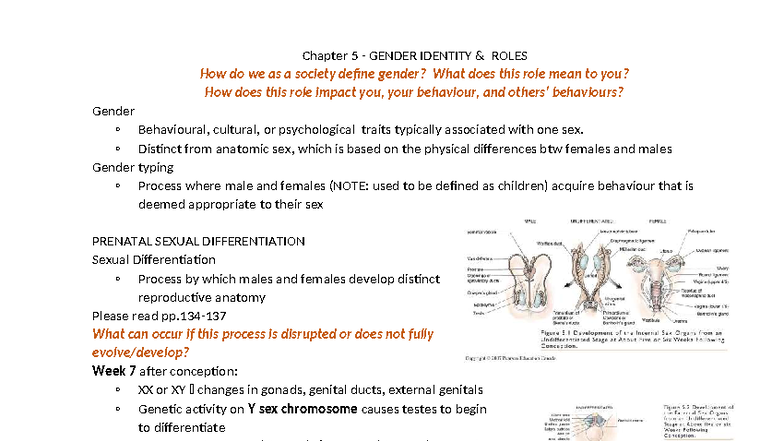 Ch 5: Gender Identity Roles and Social Constructs in Society - Studocu