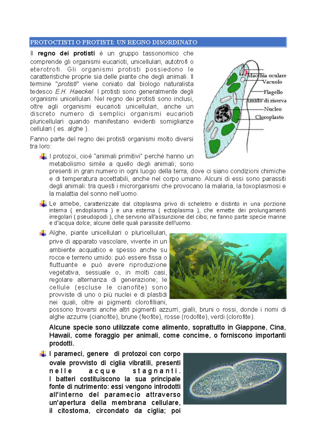 Analisi dettagliata del regno dei Protisti per corso di biologia - Studocu